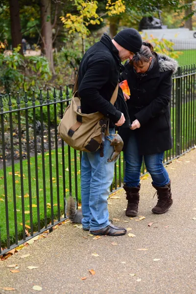 DSC_0612 (Large).JPG